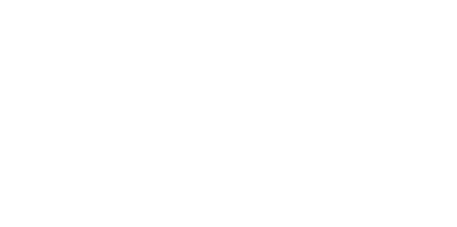 Salomons Estate Logo