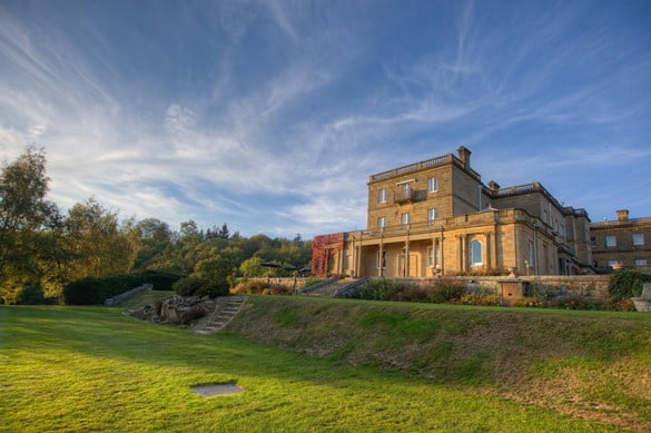 Grass outside of Salomons Estate