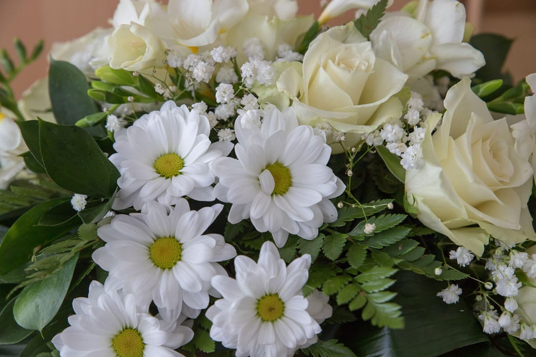 white-flowers