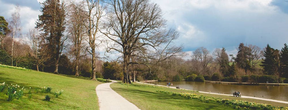 Path going through grass near a lake