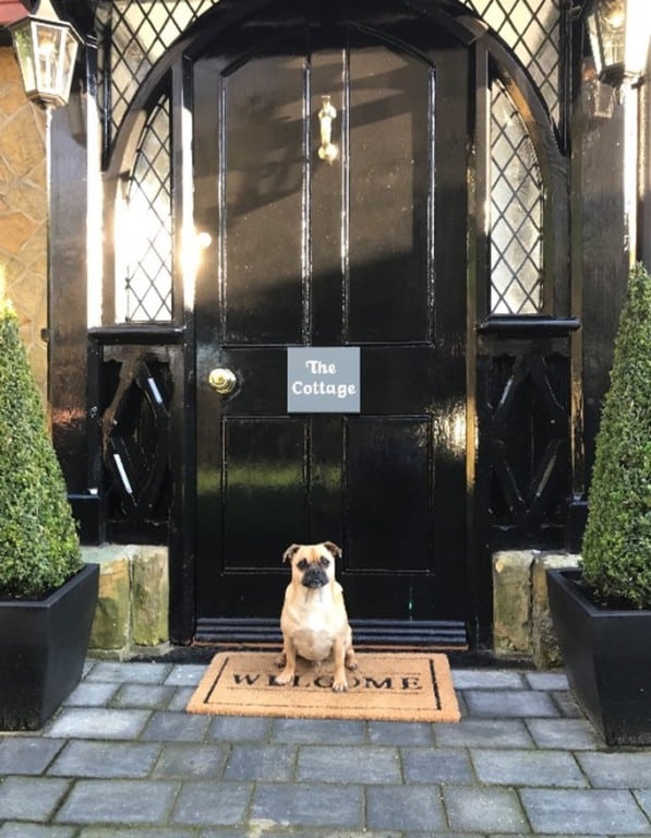 A dog sitting on a door mat in front of The Cottage