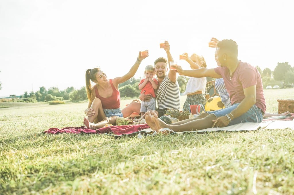 People raising glasses at a picnic