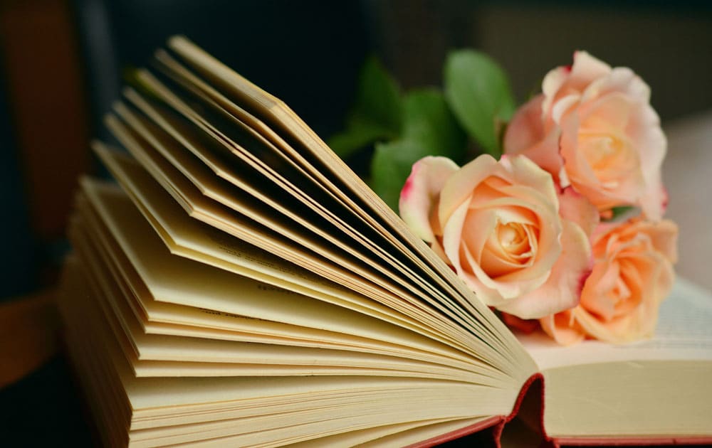 An open book with a bouquet of three light pink roses on it
