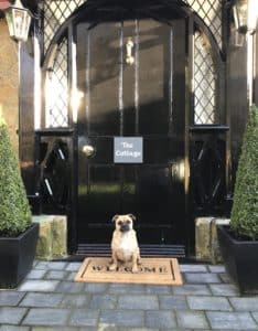 Dog sitting on a entrance rug in front of "The cottage"