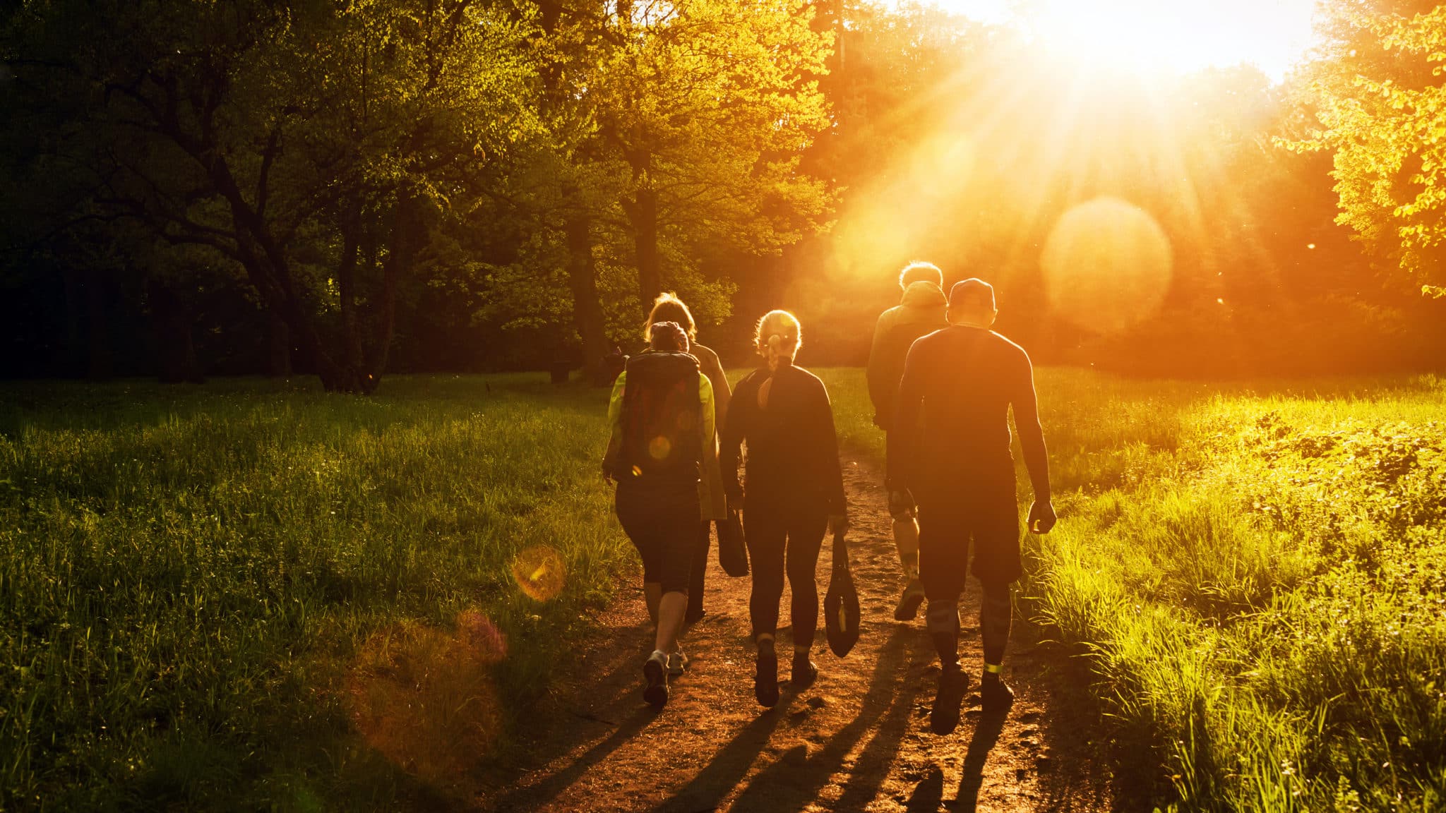 5 people walking down a path in a park