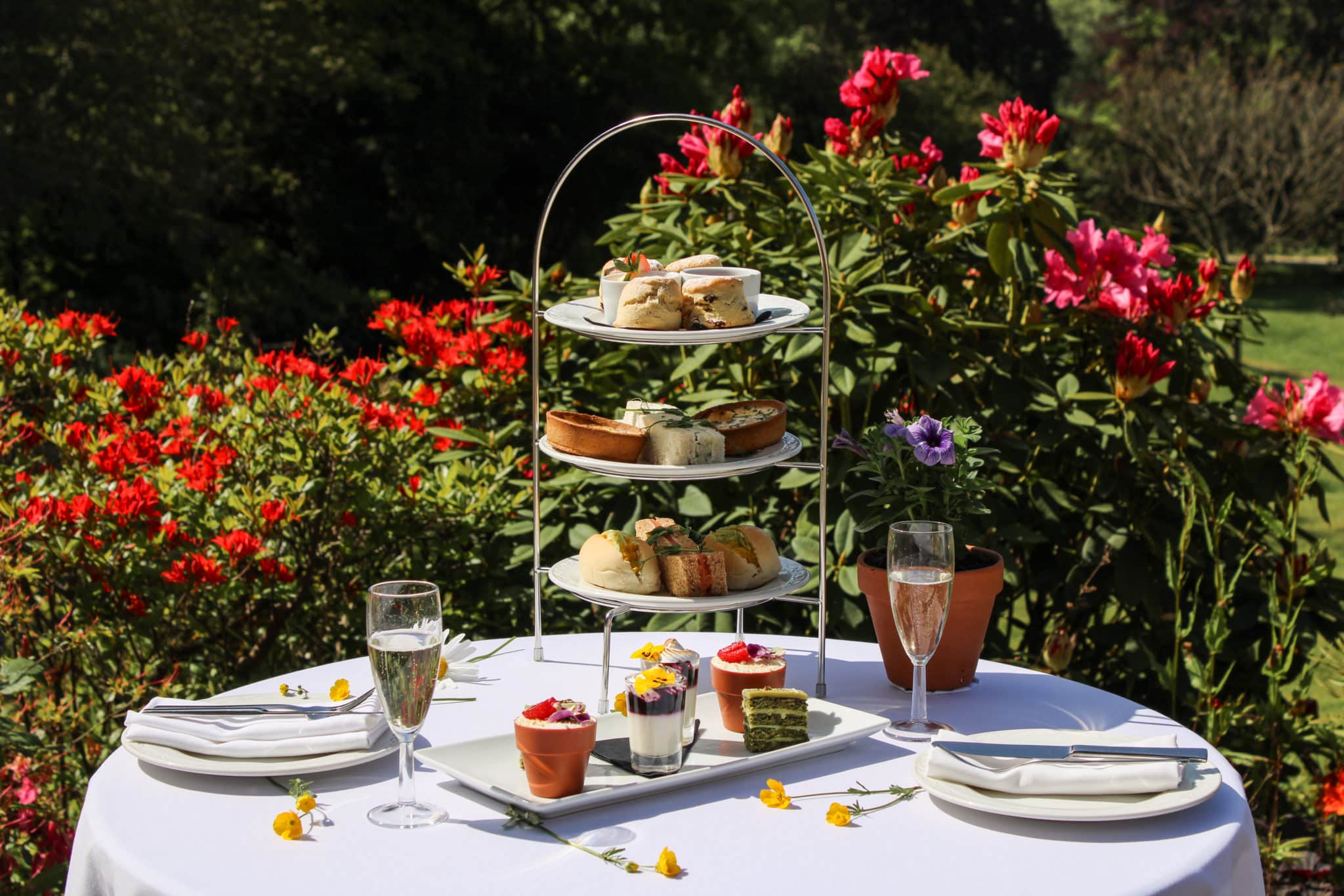 Outdoor Afternoon Tea for two with sandwiches, scones, pastries and champagne