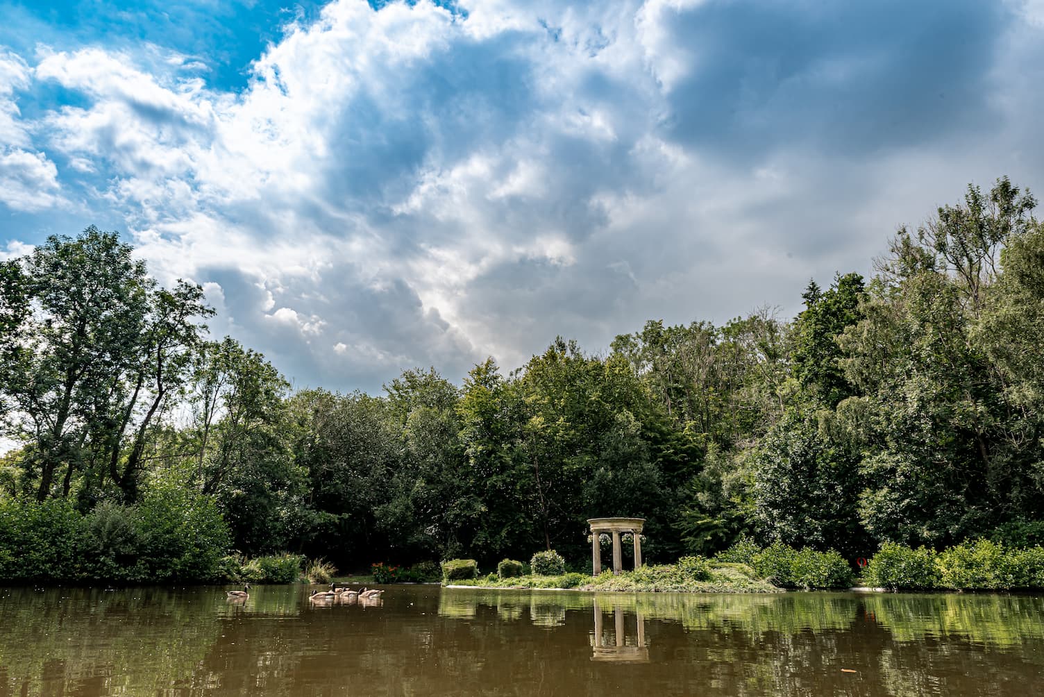 Lake and Forest