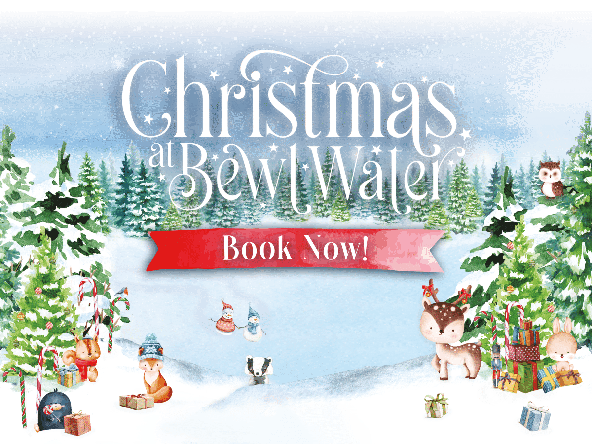 Christmas At Bewl Water Poster