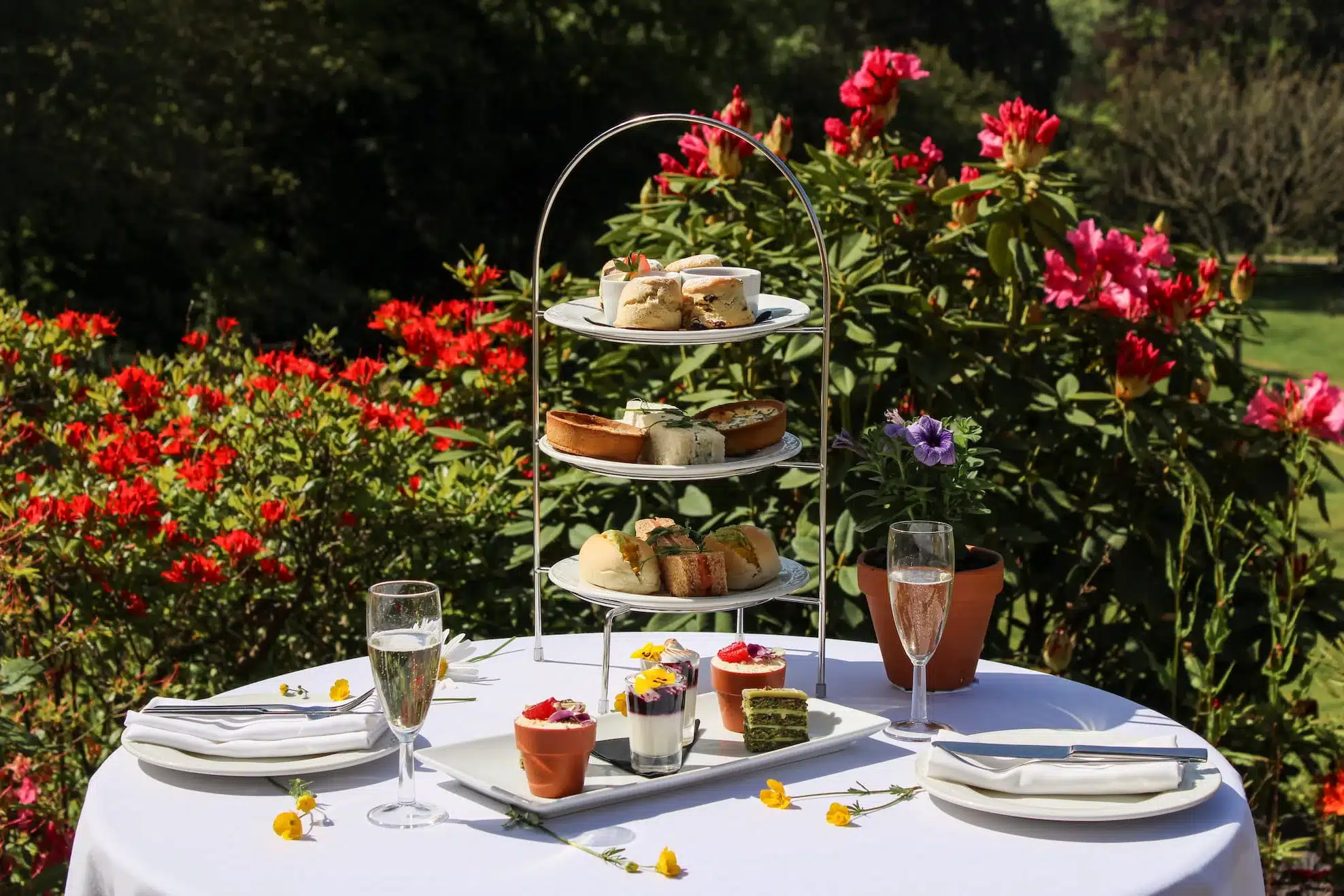 Afternoon Tea at Salomons Estate